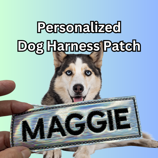 Personalized Embroidered Holographic Dog Harness Patch Velcro Backing