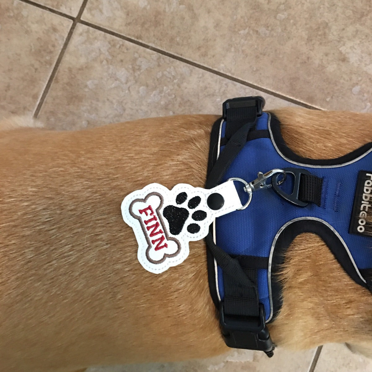 custom dog tag on harness